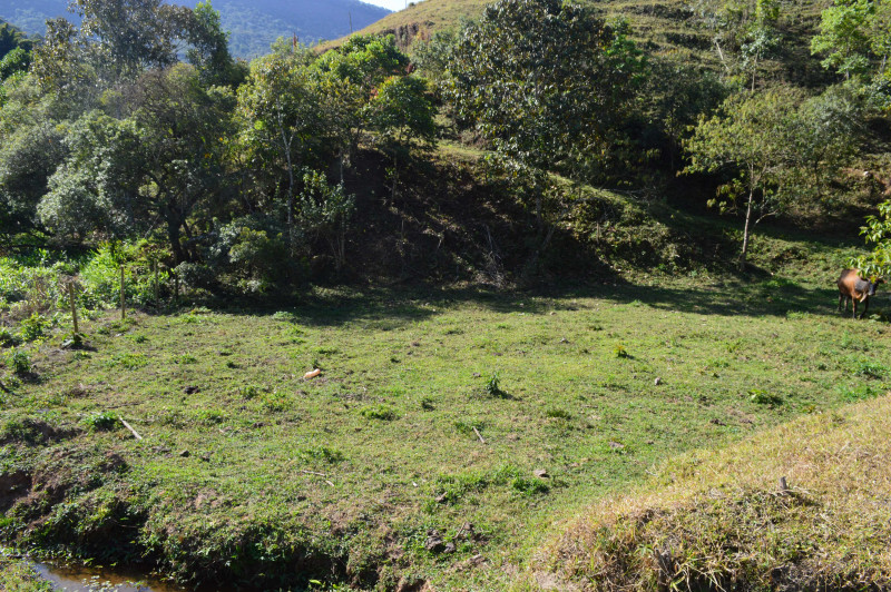 Sítio à venda CENTRO com 30000m² e 4 quartos por R$ 750.000 - 728254421-dsc-0055.JPG