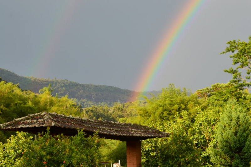 Sítio à venda CENTRO com 30000m² e 4 quartos por R$ 750.000 - 829630635-dsc-0397.JPG