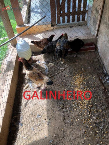 Casa de condomínio à venda Centro com 3000m² e 3 quartos por R$ 1.600.000 - 114267347-whatsapp-image-2023-05-20-at-11.jpeg