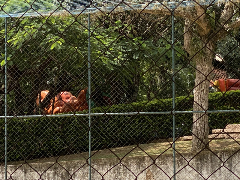 Casa de condomínio à venda Centro com 1202m² e 4 quartos por R$ 1.400.000 - 662621515-img-0588.JPG