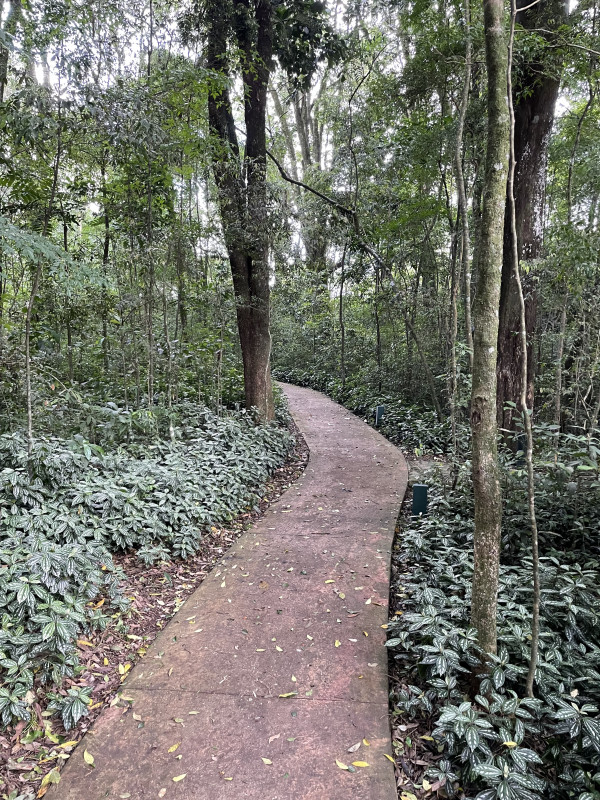 Apartamento à venda São Lourenço com 148m² e 4 quartos por R$ 1.450.000 - 1334846206-3e84f8df-8b4f-4fc2-81dc-f97c82b8fe4c.jpeg