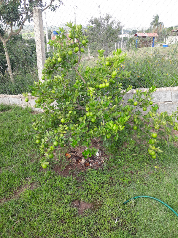 Chácara à venda centro com 467m² e 3 quartos por R$ 290.000 - 1687092088-20221218-160727.jpg