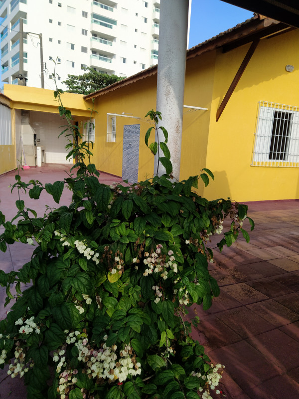 Casa à venda Jardim Praia Grande com 140m² e 3 quartos por R$ 395.000 - 387721268-img-20230501-083252.jpg