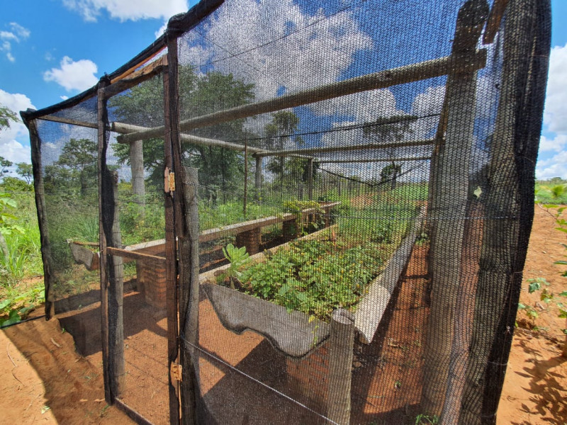 Chácara à venda Sobradinho com 20000m² e 4 quartos por R$ 1.550.000 - 1066291399-img-20200204-wa0070.jpg