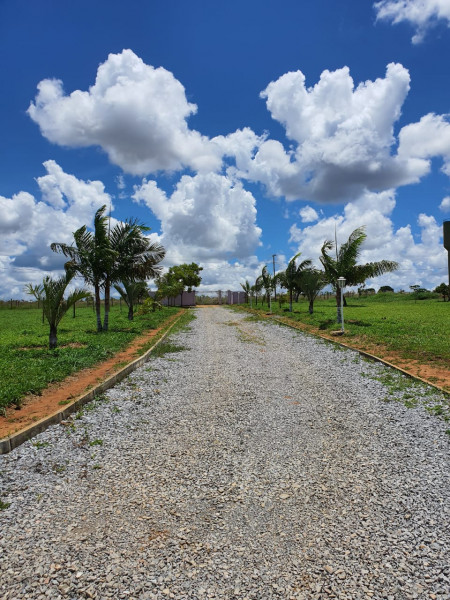 Chácara à venda Sobradinho com 20000m² e 4 quartos por R$ 1.550.000 - 1069737207-img-20200204-wa0024.jpg