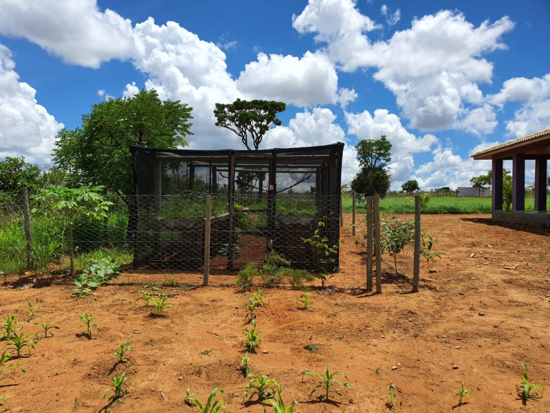 Chácara à venda Sobradinho com 20000m² e 4 quartos por R$ 1.550.000 - 1365544553-img-20200204-wa0072.jpg