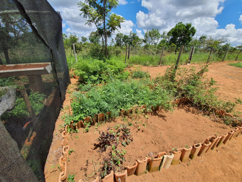 Chácara à venda Sobradinho com 20000m² e 4 quartos por R$ 1.550.000 - 1426702530-img-20200204-wa0069.jpg