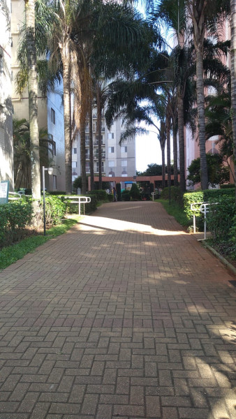 Apartamento à venda Cambuci com 61m² e 3 quartos por R$ 420.000 - 222153724-s-area-externa-3.jpeg