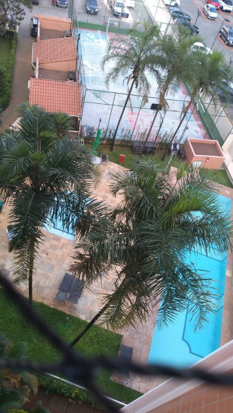 Apartamento à venda Cambuci com 61m² e 3 quartos por R$ 420.000 - 319195042-piscina-e-quadra-1.jpeg