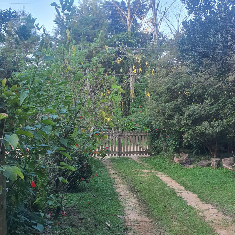 Chácara à venda Barão de Javary com 240m² e 4 quartos por R$ 1.190.000 - 1054628182-00d1b296-8763-47a4-8ba0-4385d5903989.jpg
