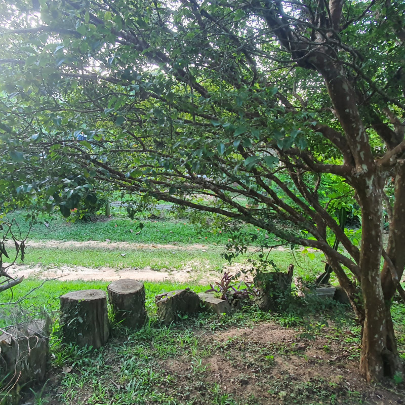 Chácara à venda Barão de Javary com 240m² e 4 quartos por R$ 1.190.000 - 1265309031-bc7ae5e1-9ffb-4c7d-9fc0-7194abe194ae.jpg