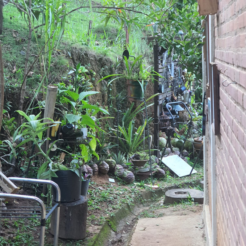 Chácara à venda Barão de Javary com 240m² e 4 quartos por R$ 1.190.000 - 1530284158-968c1b73-46ef-4884-b832-05ae79d2b547.jpg