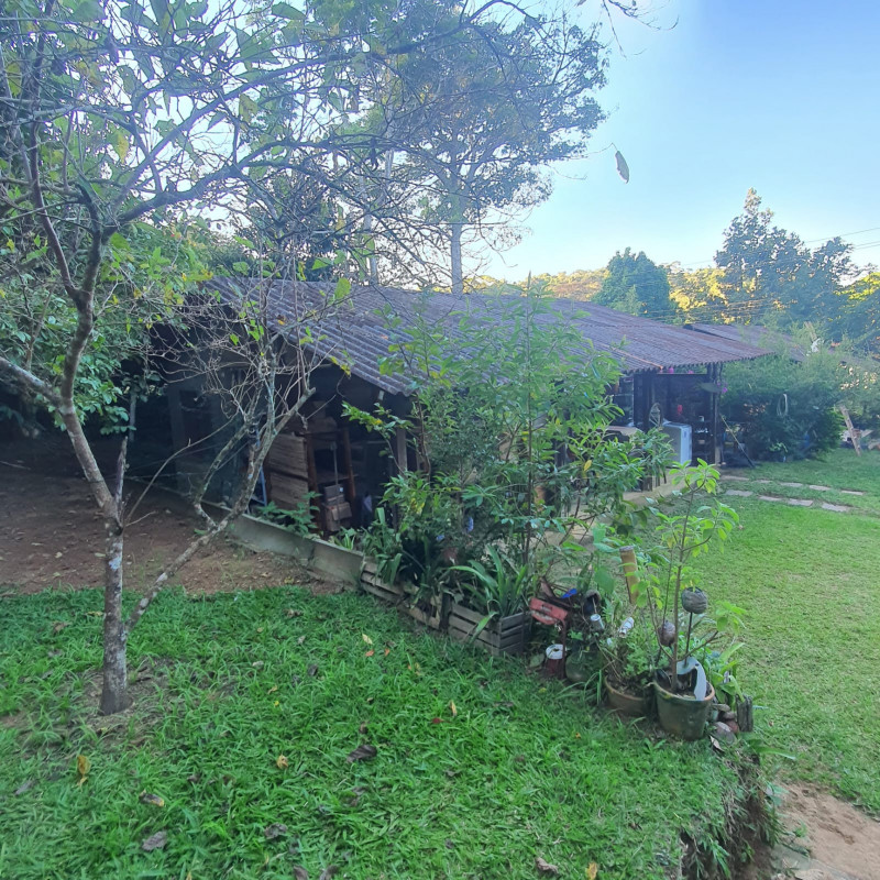 Chácara à venda Barão de Javary com 240m² e 4 quartos por R$ 1.190.000 - 1589988863-9ec0055c-e7b8-470e-90a1-a48c41afec0e.jpg