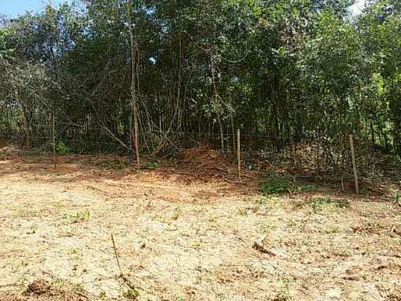 Terreno à venda Paraíso com 300m² e 1 quarto por R$ 40.000 - 211124211-1524073849415jpg.jpg