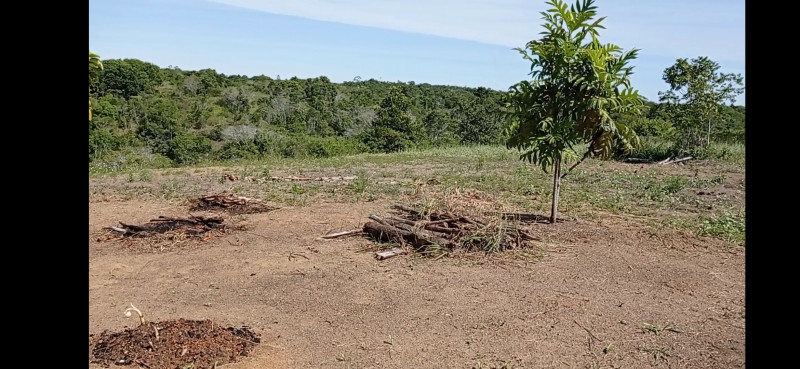 Sítio à venda taperapuan com 14m² e 1 quarto por R$ 650.000 - 1151397710-screenshot-2022-05-23-19-30-44-406-com.jpg