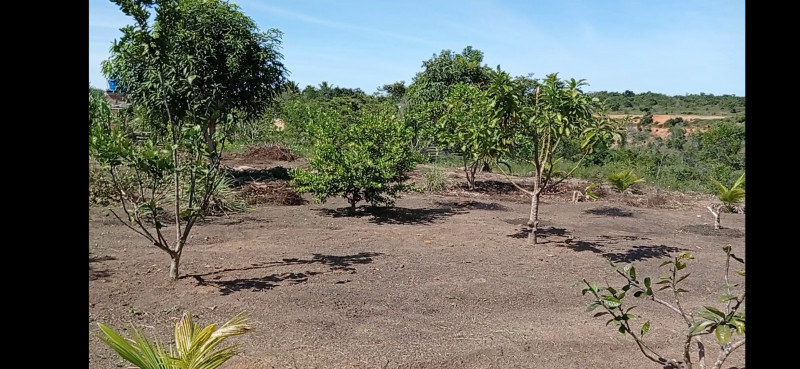 Sítio à venda taperapuan com 14m² e 1 quarto por R$ 650.000 - 1575018723-screenshot-2022-05-23-19-31-15-725-com.jpg