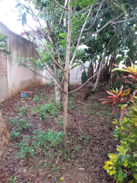 Casa à venda São José com 278m² e 3 quartos por R$ 320.000 - 643641126-whatsapp-image-2023-05-22-at-16.jpeg