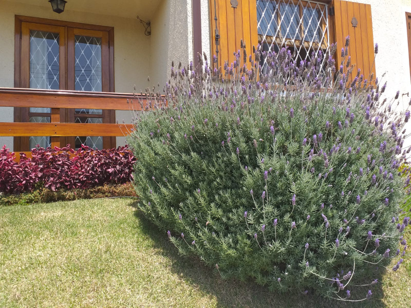 Casa à venda Castelanea com 120m² e 3 quartos por R$ 1.400.000 - 978163685-img-20230521-wa0022.jpg