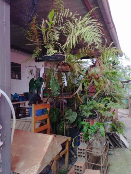 Casa à venda Chácara do Solar II (Fazendinha) com 280m² e 1 quarto por R$ 330.000 - 1577775562-screenshot-20221211-201300-gallery.jpg
