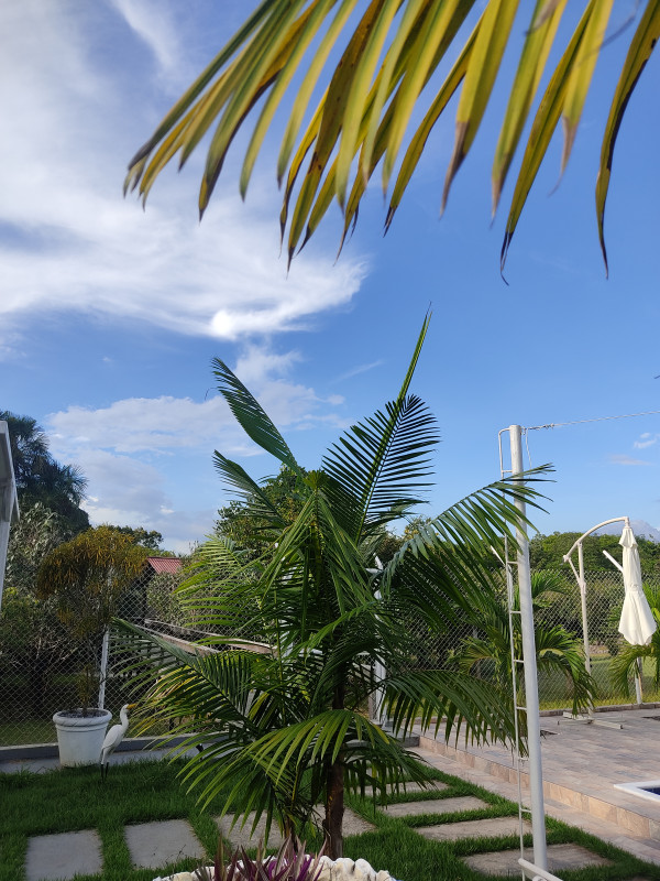 Comercial à venda Teixeirão com 100m² e 1 quarto por R$ 2.000.000 - 152364579-img-20221110-155307.jpg