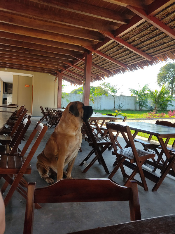 Comercial à venda Teixeirão com 100m² e 1 quarto por R$ 2.000.000 - 2033140508-img-20220802-072022.jpg