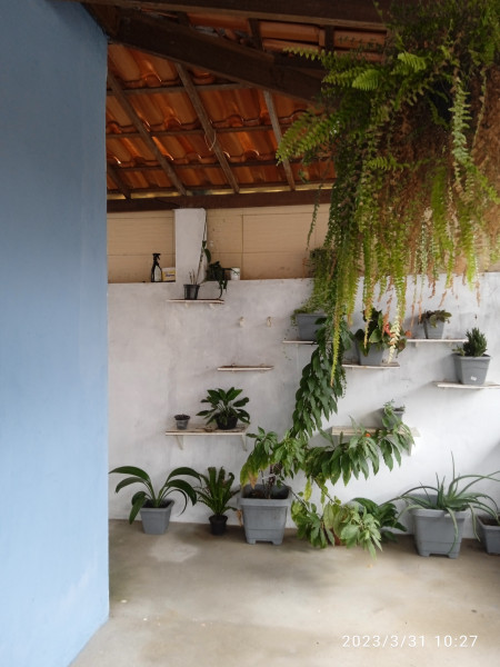 Casa à venda Centro com 120m² e 5 quartos por R$ 170.000 - 1541072943-img-20230331-102711-1.jpg