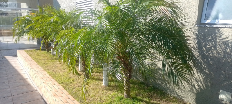 Apartamento à venda Casa Branca com 60m² e 2 quartos por R$ 450 - 786761892-img-20220831-082158.jpg