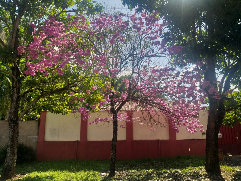 Chácara à venda Jardim Estoril com 700m² e 3 quartos por R$ 15.500.000 - 2057730261-img-20230529-wa0009.jpg