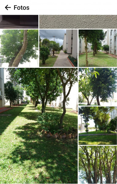 Apartamento à venda São Miguel com 55m² e 2 quartos por R$ 140.000 - 1754699517-screenshot-20230519-192926-facebook.jpg