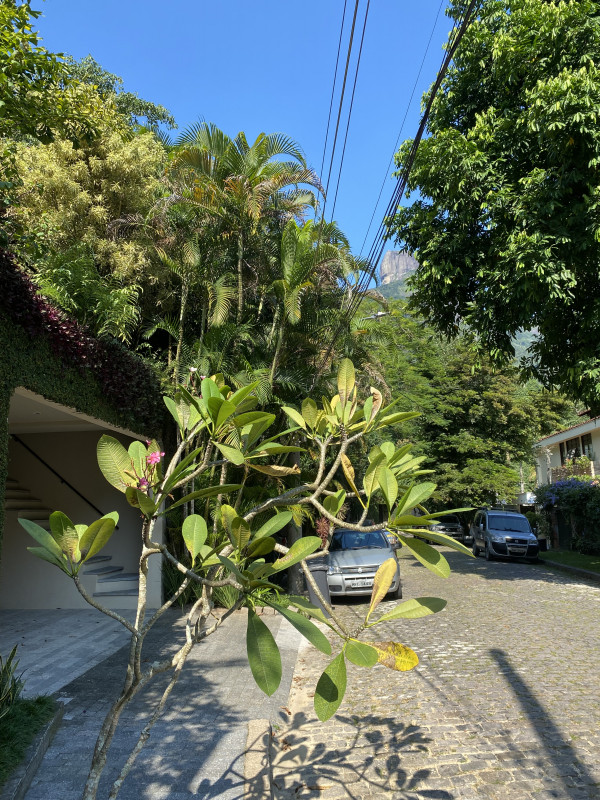Casa à venda Itanhangá com 480m² e 5 quartos por R$ 3.200.000 - 1951968366-img-4059.jpg