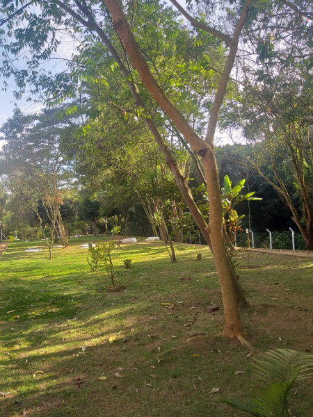 Casa de condomínio à venda Jardim Torino com 75m² e 2 quartos por R$ 350.000 - 915852362-img-20230105-wa0051.jpg