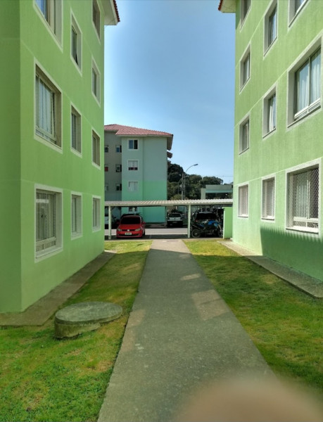 Apartamento à venda Rio Pequeno com 49m² e 2 quartos por R$ 170.000 - 840175791-screenshot-20230528-113557-google.jpg
