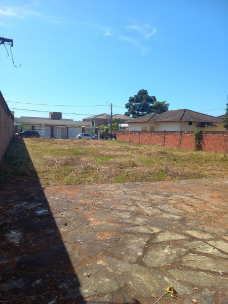 Terreno à venda Centro com 8002m² e 1 quarto por R$ 75.000.000 - 531464549-fdacf3d6-3a25-4a74-bf64-cbcc94adab61.jpg