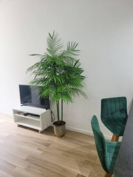 Apartamento à venda Copacabana com 36m² e 1 quarto por R$ 570 - 1111328689-download-3.png