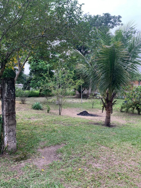 Chácara à venda Tinguá com 700m² e 4 quartos por R$ 250.000 - 383798600-img-20230601-wa0005.jpg