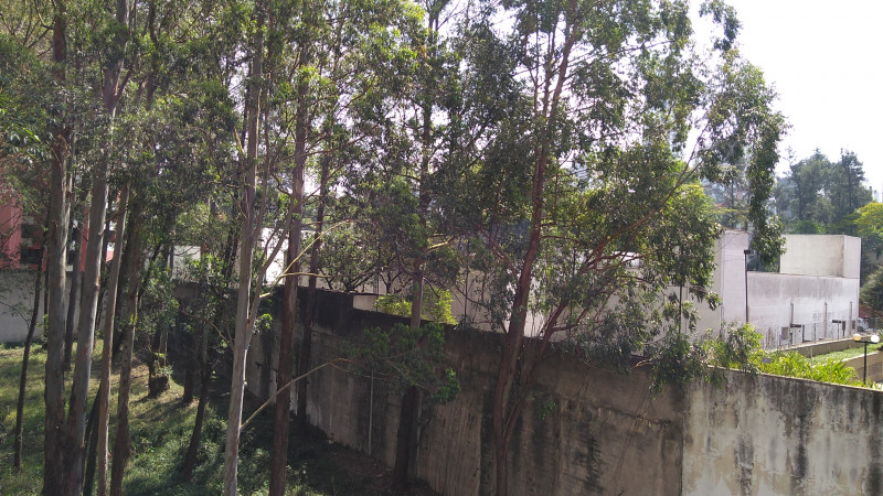 Apartamento à venda Vila Suzana com 70m² e 3 quartos por R$ 320.000 - 588497676-spaziosangiacomo-apartamento-501-5.jpg