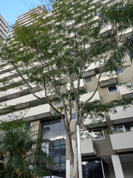 Comercial à venda Vila Mariana com 37m² e 1 quarto por R$ 485.000 - 740359816-img-pred-1.jpg