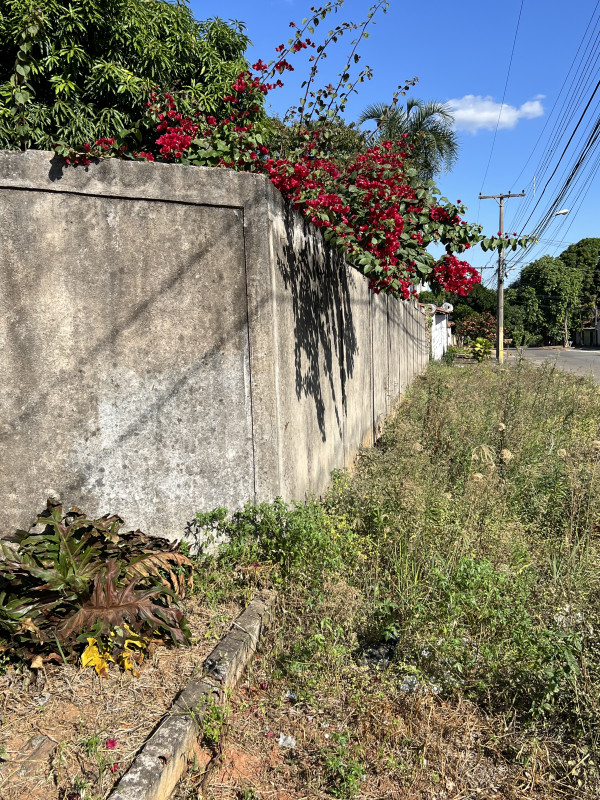 Casa à venda Parque Amazonia com 650m² e 3 quartos por R$ 800.000 - 1428569075-img-4305.jpeg