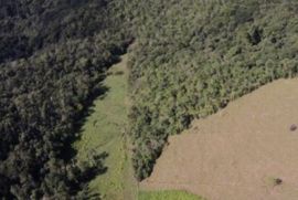 Sítio à venda Centro com 560000m² - 2 dormitórios -  vagas - R$ 630.000 - 1129544557-c08231f9-9c57-4369-80a8-2c9d7764ba5a.jpeg