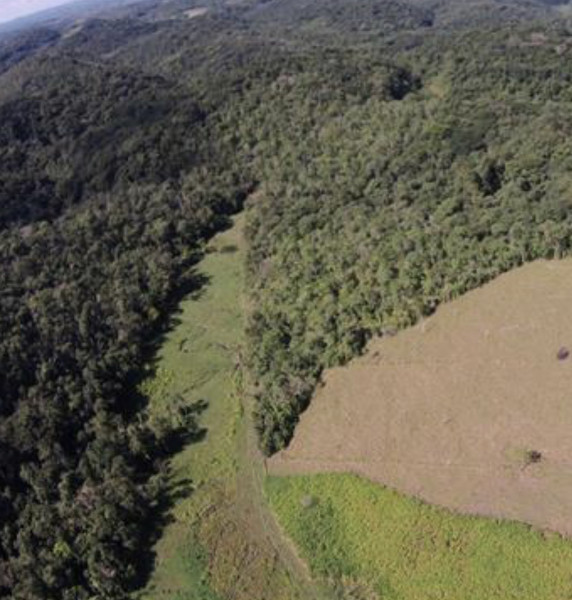 Sítio à venda Centro com 560000m² e 2 quartos por R$ 630.000 - 1129544557-c08231f9-9c57-4369-80a8-2c9d7764ba5a.jpeg
