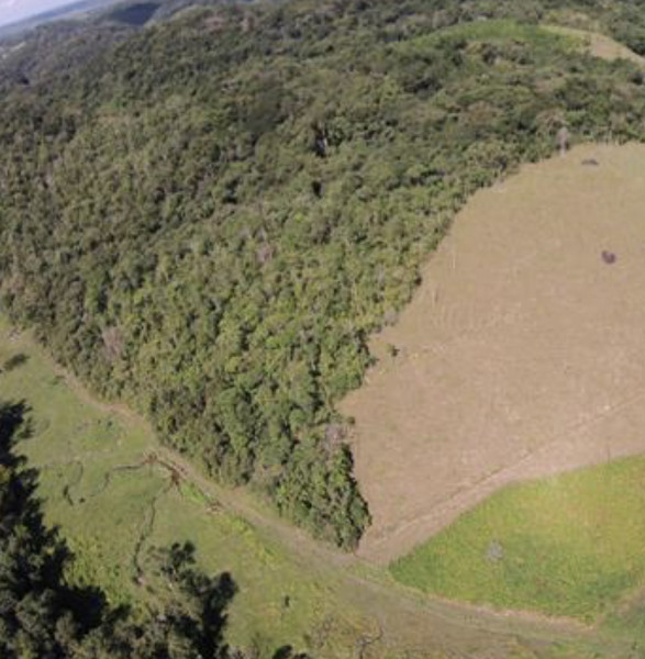 Sítio à venda Centro com 560000m² e 2 quartos por R$ 630.000 - 1270472586-e409ace2-ed19-41aa-93bc-5e6c9a3f4d49.jpeg