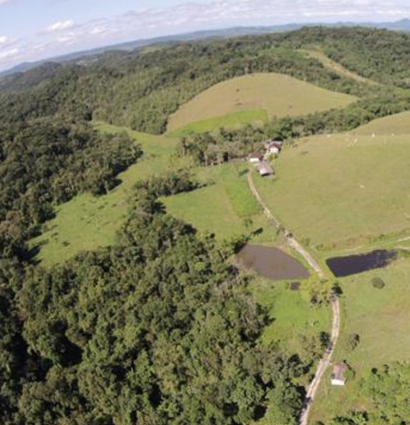 Sítio à venda Centro com 560000m² e 2 quartos por R$ 630.000 - 1789520637-2b8ec4c4-4174-4643-8956-55c3a57805a9.jpeg