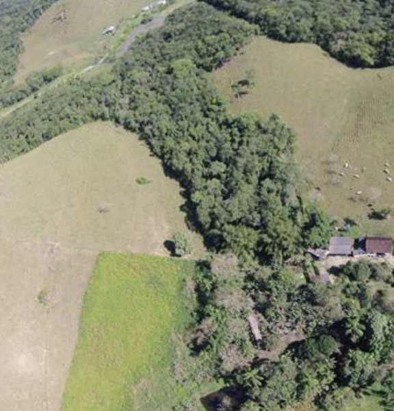 Sítio à venda Centro com 560000m² e 2 quartos por R$ 630.000 - 631693946-3de13f9b-5e42-4c98-b419-a3ce8871355c.jpeg