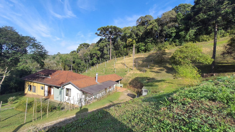 Chácara à venda Aguas de Valverde/Pacotuba com 450m² e 2 quartos por R$ 1.500.000 - 1635110476-img-20220715-wa0036.jpg