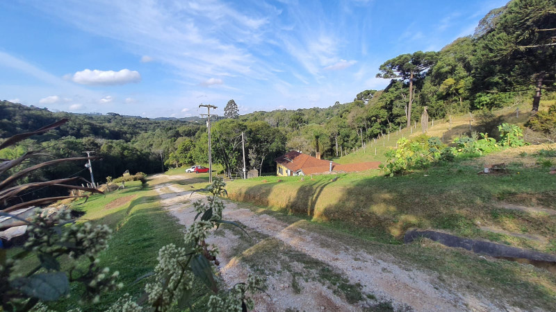 Chácara à venda Aguas de Valverde/Pacotuba com 450m² e 2 quartos por R$ 1.500.000 - 2094479578-img-20220715-wa0046.jpg