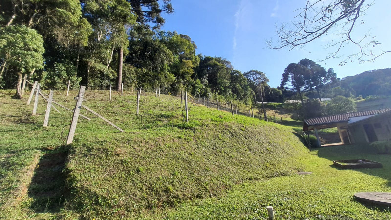 Chácara à venda Aguas de Valverde/Pacotuba com 450m² e 2 quartos por R$ 1.500.000 - 270119263-img-20220715-wa0019.jpg