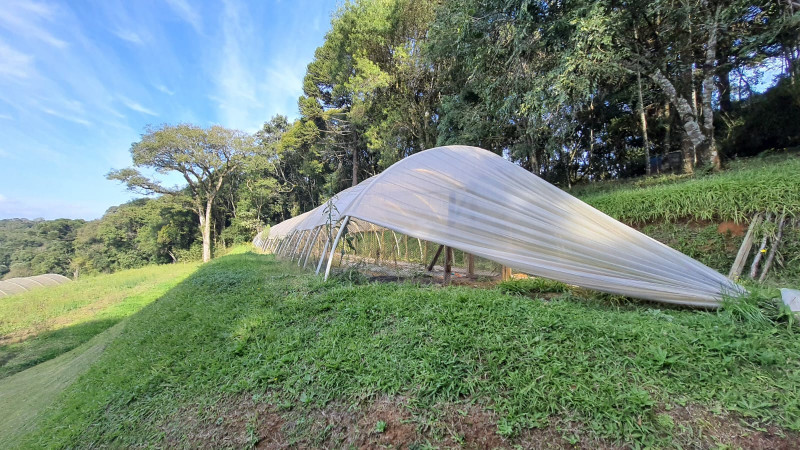 Chácara à venda Aguas de Valverde/Pacotuba com 450m² e 2 quartos por R$ 1.500.000 - 303866497-img-20220715-wa0042.jpg