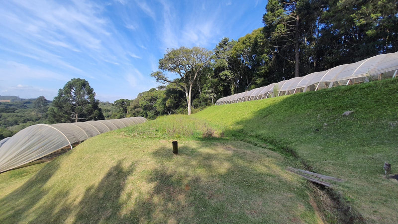Chácara à venda Aguas de Valverde/Pacotuba com 450m² e 2 quartos por R$ 1.500.000 - 602625381-img-20220715-wa0044.jpg