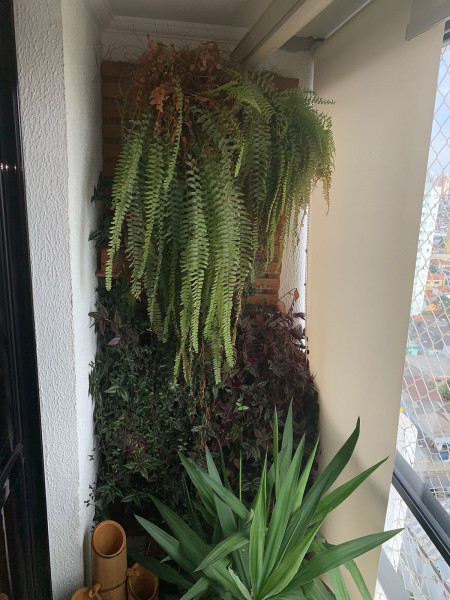 Apartamento à venda Vila Moinho Velho com 64m² e 2 quartos por R$ 465.000 - 720116641-whatsapp-image-2023-06-06-at-16.jpeg