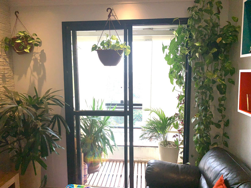 Apartamento à venda Vila Moinho Velho com 64m² e 2 quartos por R$ 465.000 - 876970375-whatsapp-image-2023-06-06-at-16.jpeg